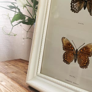 Solid wood picture frame *SHABBY CHIC*, white, photo frame, wooden frame, vintage style, 40 x 30 cm, 30 x 30 cm, 40 x 20 cm, DIN A4 image 6