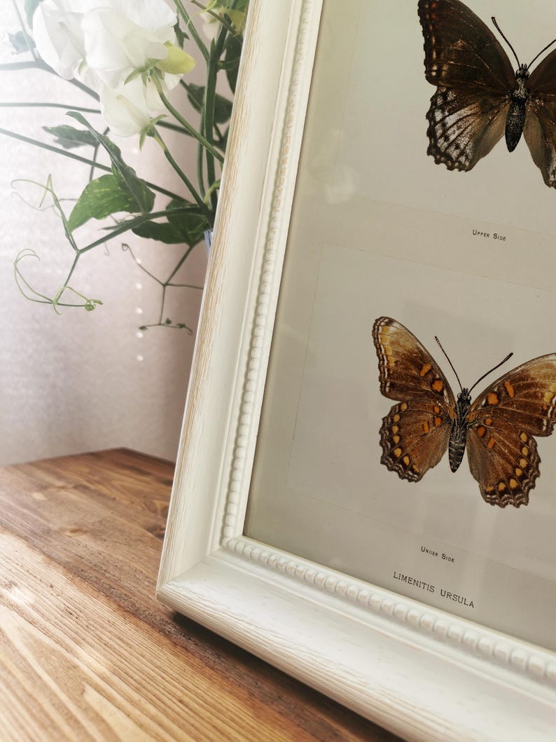 Solid wood picture frame *SHABBY CHIC*, white, photo frame, wooden frame, vintage style, 40 x 30 cm, 30 x 30 cm, 40 x 20 cm, DIN A4 image 6