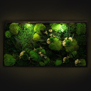 Beautiful Preserved Moss Artwork with LED Lights Live Moss LED Wall Art Preserved Moss Lighted Framed Moss Wall Art Eco-Friendly Home Decor