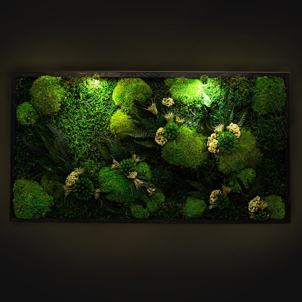 Beautiful Preserved Moss Artwork with LED Lights Live Moss LED Wall Art Preserved Moss Lighted Framed Moss Wall Art Eco-Friendly Home Decor