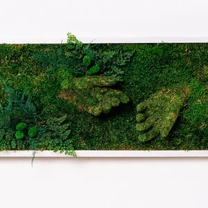 Unique Moss Wall Art Panel, 3D Hands Green Moss Wall Art Piece, Preserved Moss Natural Air Indoor Plant Wall Art, Moss Greenwall Panel
