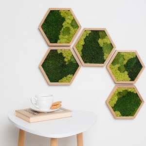 Peut inclure: Cinq pièces d'art mural hexagonales remplies de mousse verte, encadrées de bois clair. La mousse présente différentes nuances de vert. Une table blanche supporte un livre, une tasse à thé et des biscuits.