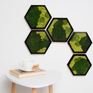 Op de afbeelding: Vijf zeshoekige wandkunstwerken met zwarte frames, gevuld met groene mossen in verschillende tinten. Het mos creëert een textuur, natuurlijke uitstraling. Een witte tafel heeft een kopje, schotel, boek en koekjes.