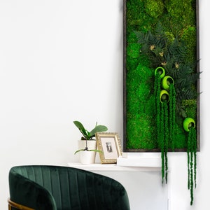 Puede incluir: Una pieza rectangular de arte de musgo en un marco de madera oscura, con musgo y helechos verdes vibrantes. Orbes verdes decorativos con hebras colgantes tipo musgo. Una foto con marco dorado y una planta en maceta.