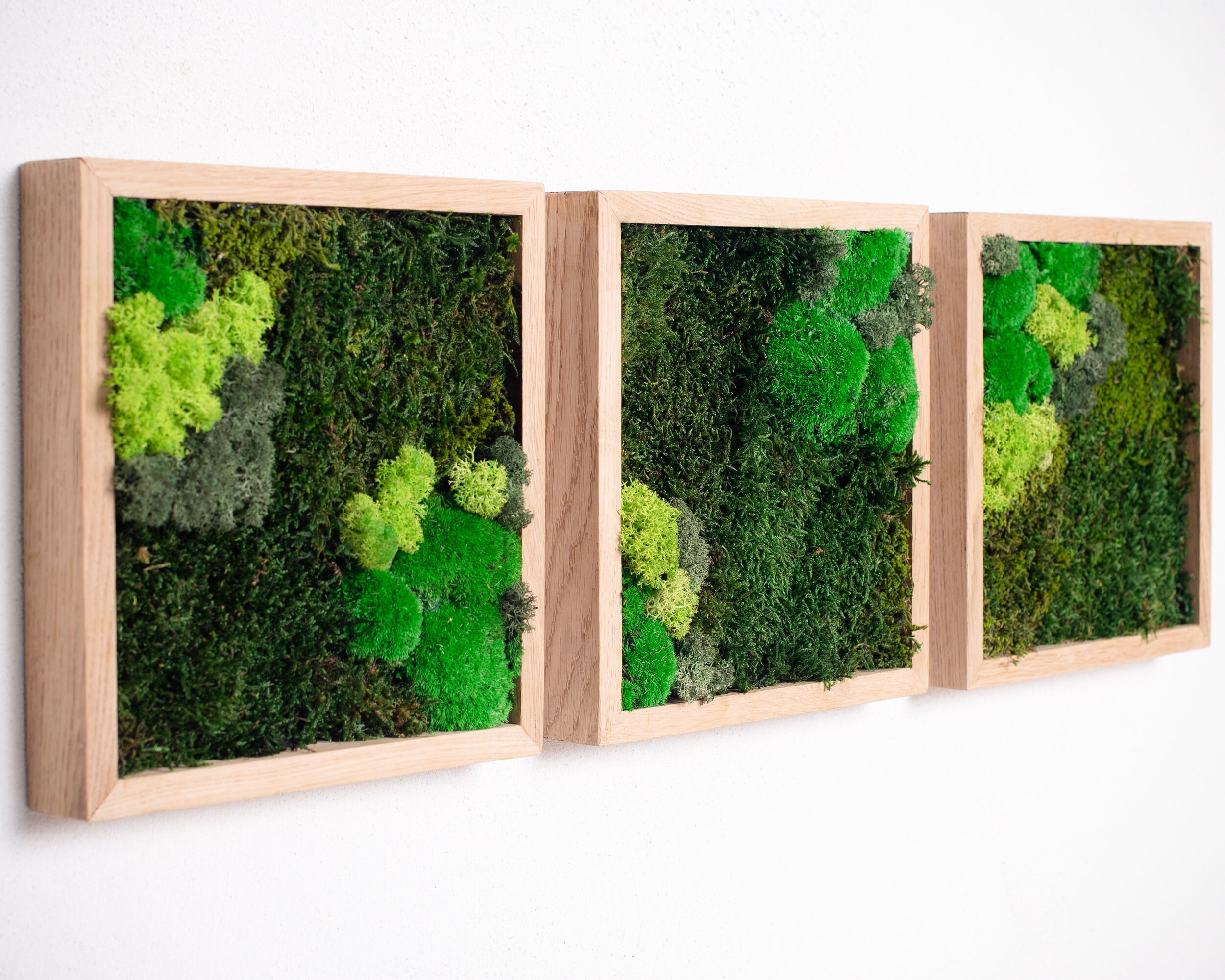 Reindeer Moss Wall Art Set of 3 Botanical Wall Art Set of 3 Etsy