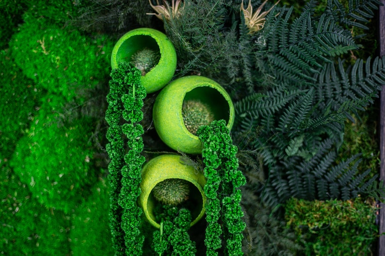 Puede incluir: Una vibrante obra de arte mural verde con tres recipientes esf&eacute;ricos abiertos llenos de vegetaci&oacute;n texturizada. Plantas verdes colgantes caen en cascada hacia abajo, complementadas por un fondo de varios follajes verdes, creando una est&eacute;tica natural exuberante.