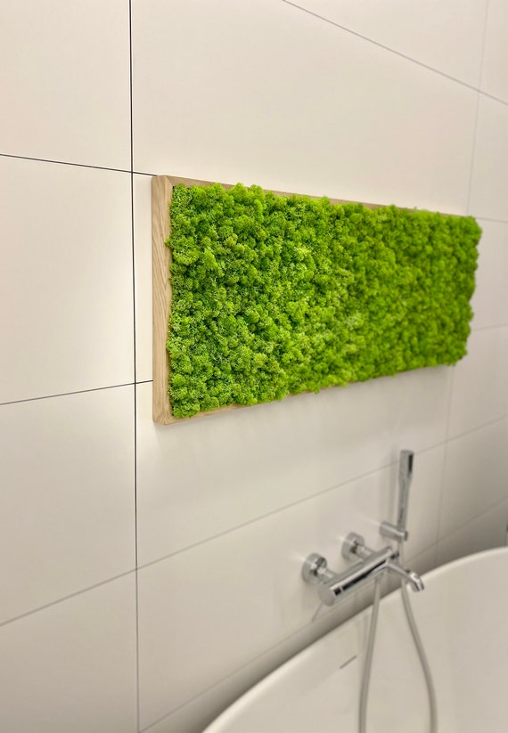 Reindeer Moss Wall Art, Eco-Friendly Botanical Artwork