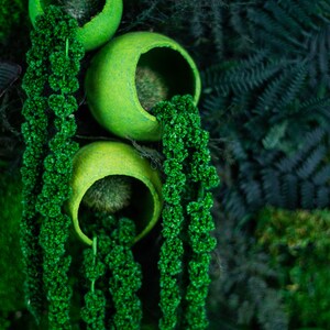Puede incluir: Composici&oacute;n vertical con tres jardineras esf&eacute;ricas de color verde lima, cada una llena de una planta verde texturizada. Las jardineras se colocan sobre un fondo de exuberante follaje verde oscuro, creando una exhibici&oacute;n naturalista vibrante.