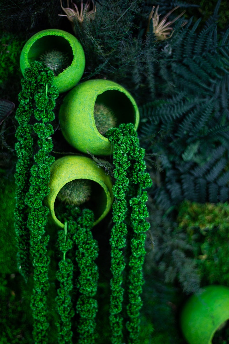Puede incluir: Composici&oacute;n vertical con tres jardineras esf&eacute;ricas de color verde lima, cada una llena de una planta verde texturizada. Las jardineras se colocan sobre un fondo de exuberante follaje verde oscuro, creando una exhibici&oacute;n naturalista vibrante.