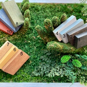 Puede incluir: Una colecci&oacute;n de diez bloques de madera en varios colores, incluyendo marr&oacute;n oscuro, plateado, gris claro y tonos de rojo y verde. Los bloques est&aacute;n dispuestos sobre un lecho de musgo y follaje verdes, mostrando los diferentes tonos de madera.