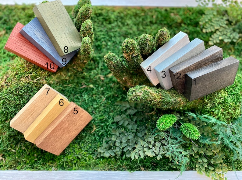 Puede incluir: Una colecci&oacute;n de diez bloques de madera en varios colores, incluyendo marr&oacute;n oscuro, plateado, gris claro y tonos de rojo y verde. Los bloques est&aacute;n dispuestos sobre un lecho de musgo y follaje verdes, mostrando los diferentes tonos de madera.