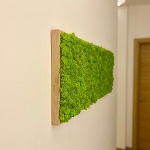 May include: A rectangular piece of wall art with a bright green moss design, framed in natural wood. The moss has a textured, organic appearance, contrasting with the smooth wood. The artwork is mounted on a white wall, creating a modern look.