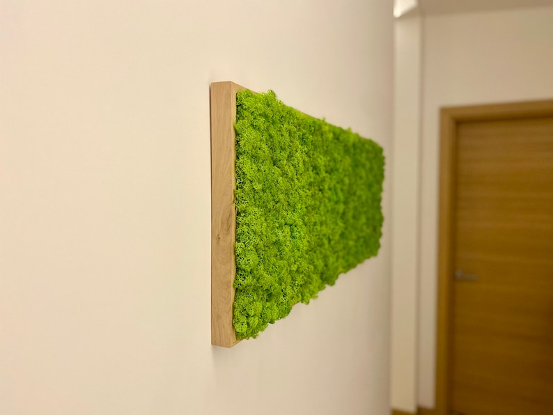 May include: A rectangular piece of wall art with a bright green moss design, framed in natural wood. The moss has a textured, organic appearance, contrasting with the smooth wood. The artwork is mounted on a white wall, creating a modern look.