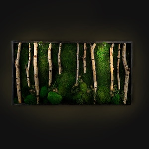 Delightful LED Lights Preserved Moss Wall Art Live Moss LED Home Décor Preserved Moss Lighted Framed Moss Wall Art Green Home Decoration Eko immagine 2