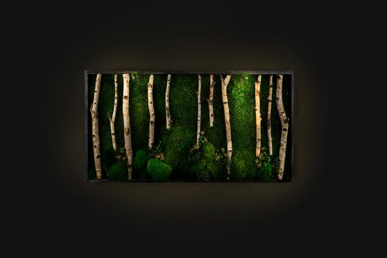 Delightful LED Lights Preserved Moss Wall Art Live Moss LED Home Décor Preserved Moss Lighted Framed Moss Wall Art Green Home Decoration Eko immagine 2