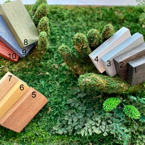 May include: Ten rectangular wooden blocks in shades of brown, grey, and red are displayed on green moss. The blocks showcase a range of wood tones, from dark to light, with a variety of finishes.