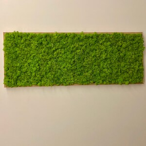May include: A rectangular wall art piece with a textured, bright green moss design. The moss is set within a natural wood frame, creating a contrast against the light-coloured wall. This piece adds a touch of nature to any interior space.