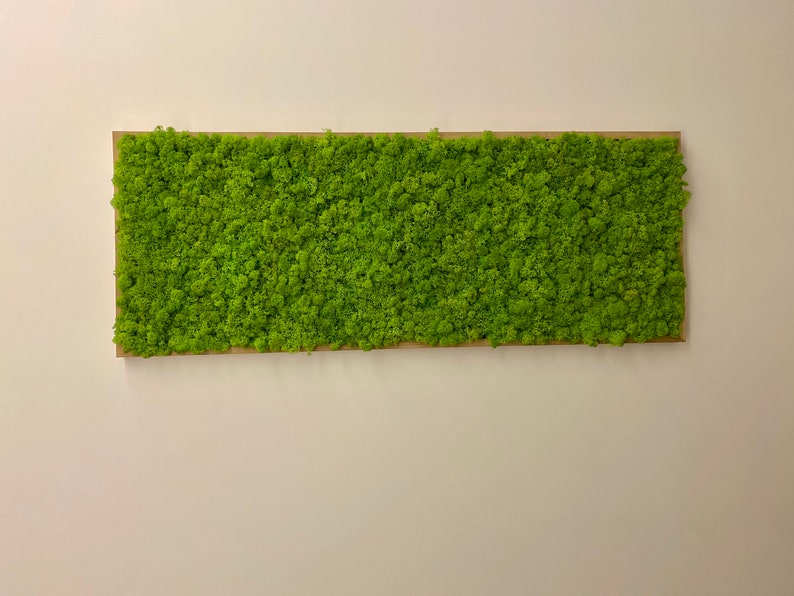 May include: A rectangular wall art piece with a textured, bright green moss design. The moss is set within a natural wood frame, creating a contrast against the light-coloured wall. This piece adds a touch of nature to any interior space.