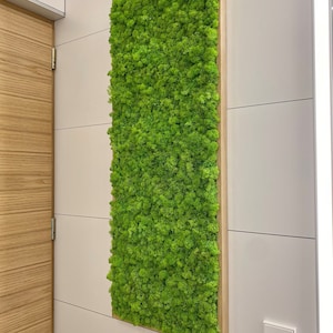 May include: A rectangular moss wall art piece, framed in light wood, mounted on a white wall. The bright green moss contrasts with the neutral tones of the wall and a wooden door. The artwork is a decorative interior design element.