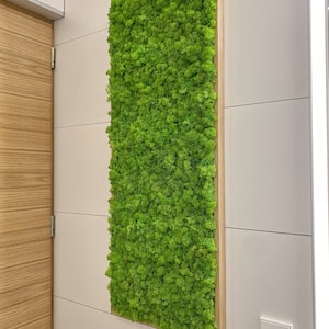 Moss Wall Large Art, Reindeer Moss, Botanical Wall Art , Moss Botanical Artwork, Eco Friendly Art, Vertical Garden, Moss Panel