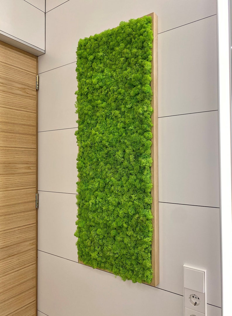 May include: A rectangular moss wall art piece, framed in light wood, mounted on a white wall. The bright green moss contrasts with the neutral tones of the wall and a wooden door. The artwork is a decorative interior design element.