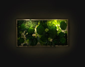 Gorgeous Moss Wall Art Greenery with LED Lights Live Moss LED Artwork Preserved Moss Lighted Framed Preserved Moss Wall Art Home Decoration