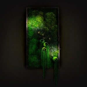 Puede incluir: Una pieza de arte mural rectangular con un vibrante arreglo de musgo y plantas verdes. La obra de arte incluye varios recipientes redondeados de color verde brillante con vegetaci&oacute;n colgante, colocados dentro de un marco de madera oscura. El fondo es de color oscuro y neutro.