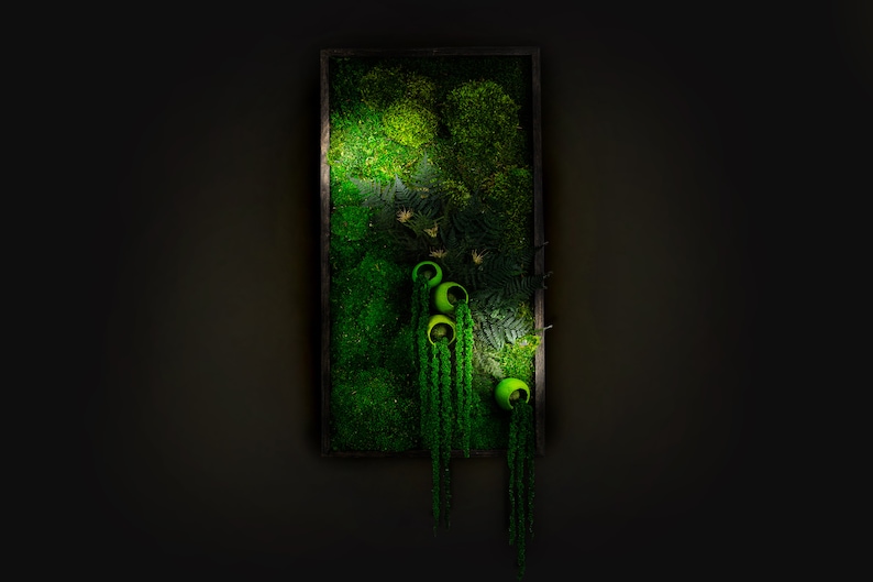 Puede incluir: Una pieza de arte mural rectangular con un vibrante arreglo de musgo y plantas verdes. La obra de arte incluye varios recipientes redondeados de color verde brillante con vegetaci&oacute;n colgante, colocados dentro de un marco de madera oscura. El fondo es de color oscuro y neutro.