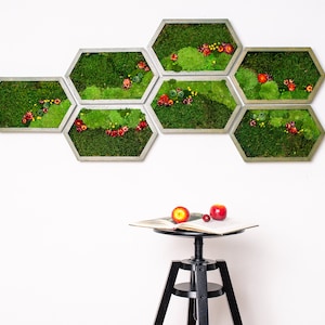 Puede incluir: Siete obras de arte murales hexagonales con diseños de musgo y flores, enmarcadas en gris claro, sobre una pared blanca. Un libro y fruta sobre un taburete negro. Las medidas son en cm.