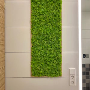 May include: A rectangular piece of wall art with bright green moss set in a light brown wooden frame. It's mounted on a white wall with horizontal panels. A light switch and electrical sockets are visible below the artwork.