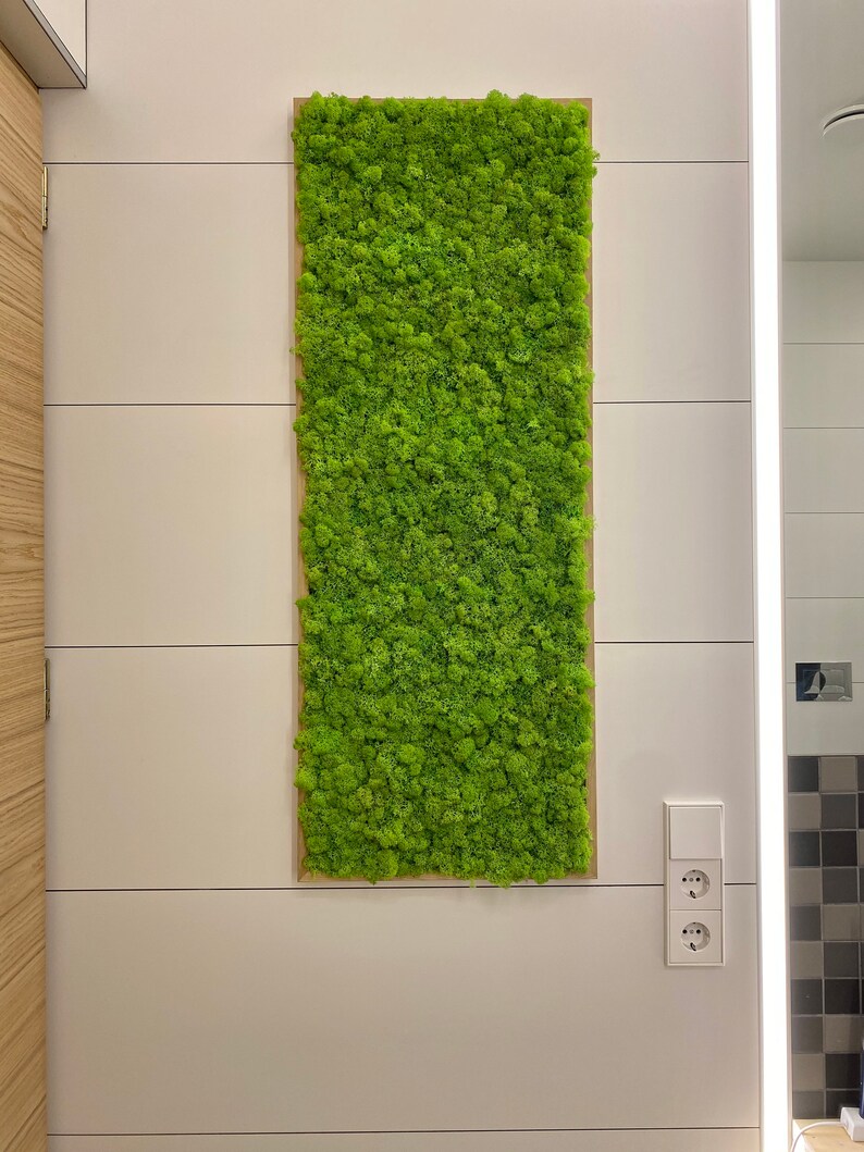 May include: A rectangular piece of wall art with bright green moss set in a light brown wooden frame. It's mounted on a white wall with horizontal panels. A light switch and electrical sockets are visible below the artwork.