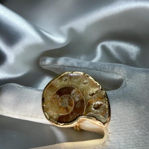 Könnte beinhalten: Ein Ring mit einem polierten Ammoniten-Fossil als Mittelstück, das braune und hellbraune Spiralmuster aufweist und in eine glatte, reflektierende goldfarbene Metallfassung eingefasst ist, die der organischen, geschwungenen Form der Schale folgt.