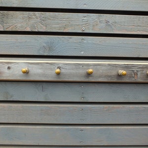 Coat rack larch barberry