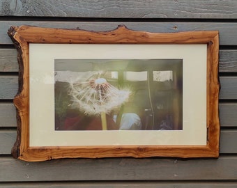 Sea buckthorn picture frame