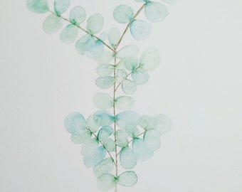 Eucalyptus Watercolor, A4 Print