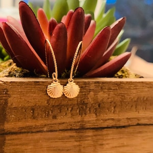 Tiny dangle seashell earrings, seashell earrings, shell earrings, gold filled seashells