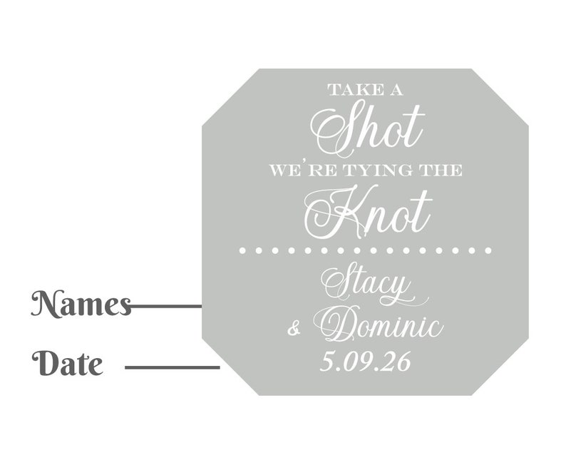 Stickers Only Take A Shot We're Tying The Knot Mini Patron Personalized Stickers Only MAE42 Wedding Stickers Bridal Shower Stickers image 5