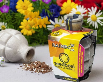 Rainbow Seedbom, Christmas Gift, Seed Bomb, Gardeners Gift, Pollinator Bomb, Care For Our Bees, Garden Flower Seeds