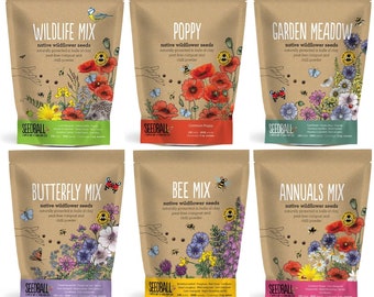 Seedbomb Bags, 100 UK Native Wildflower Seedbombs, Bees & Butterflies, Care For Wildlife, Gardening Gift, Seedballs, Gardening Seeds