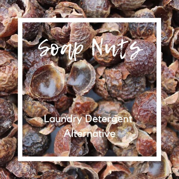 Soap Nuts, Soap Berries, 1 Kilo = 330 Washes, 100% Organic, Soap Nuts With Muslin Bag, Natural Laundry Detergent, Hypoallergenic Soap Nuts