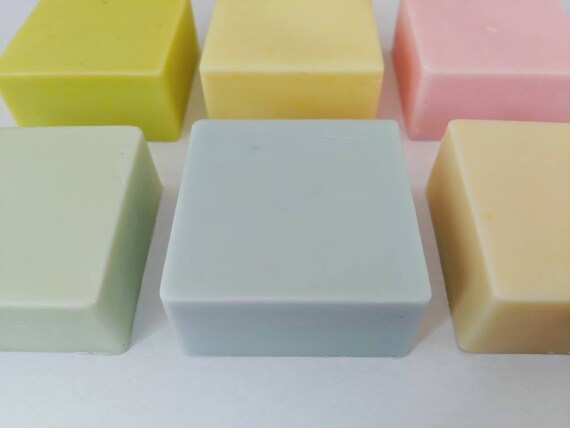 Hair Conditioner Bars 6 Varieties All Hair Types Dry Etsy