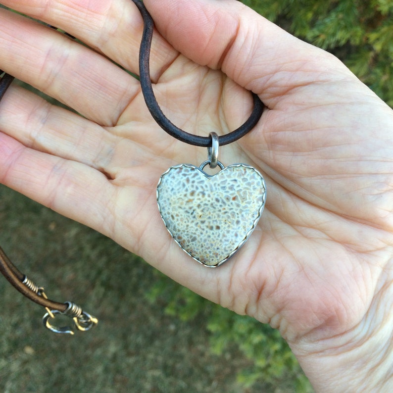 fossilized dinosaur heart