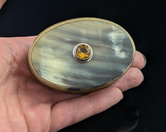 Antique Scottish cattle horn snuff box