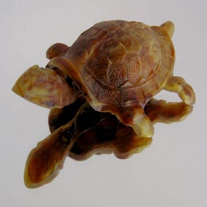May include: A detailed, brown turtle figurine with a textured shell and visible legs. The figurine is reflected on a shiny surface, creating a mirrored effect. The turtle's shell has a detailed pattern.