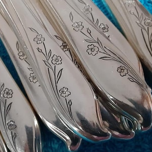 48 piece service for 8 Rogers Brothers IS Springtime silverplate flatware silverware set
