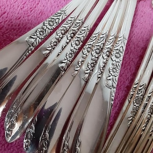 71 piece service for 8 Oneida Country Lane silverplate flatware silverware set
