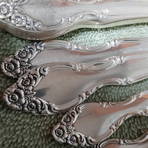 54 piece service for 8 Rogers International Silver Lady Densmore silverplate flatware set