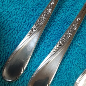 52 piece service for 8 International Silver Rogers Spring Flower silverplate flatware, silverware set