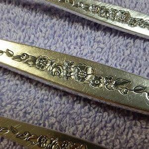48 piece service for 8 IS Laurel Mist deep silver flatware silverware set