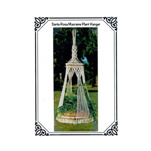May include: A macrame plant hanger with the text "Santa Rosa Macrame Plant Hanger". The plant hanger is made of white rope and holds a potted plant with green foliage. The design includes a circular base and a fringed edge.
